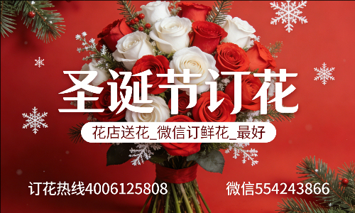 ���ݶ���������