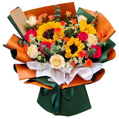 ���ݶ���������